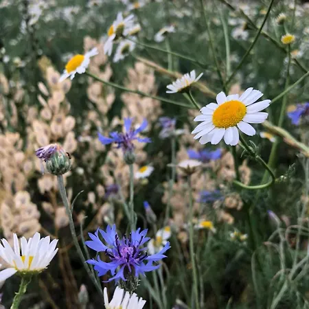 Na Vecnosti * Biskupice