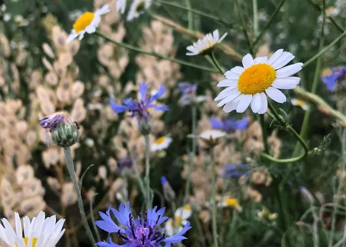 Na Vecnosti * Biskupice